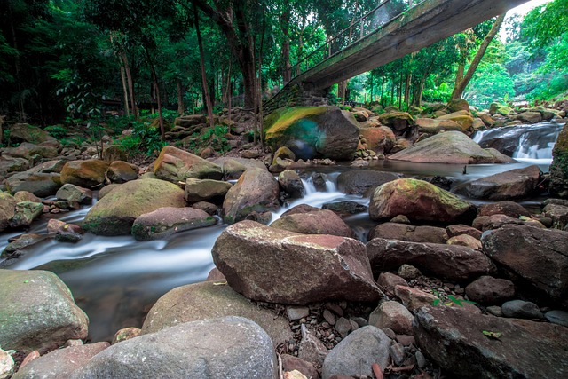 Free Nature Water photo and picture