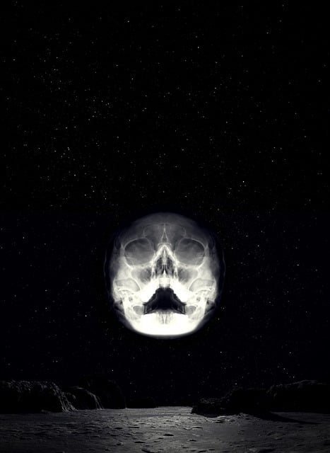 Free skull landscape starry sky illustration