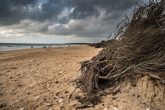 Plage Océan Sable - Photo gratuite sur Pixabay - Pixabay