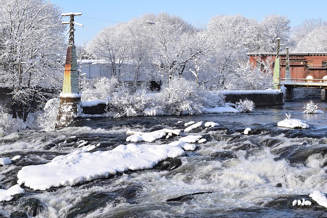 Free Winter Cold photo and picture