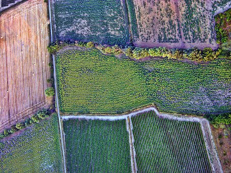 Free Aerial Fields photo and picture