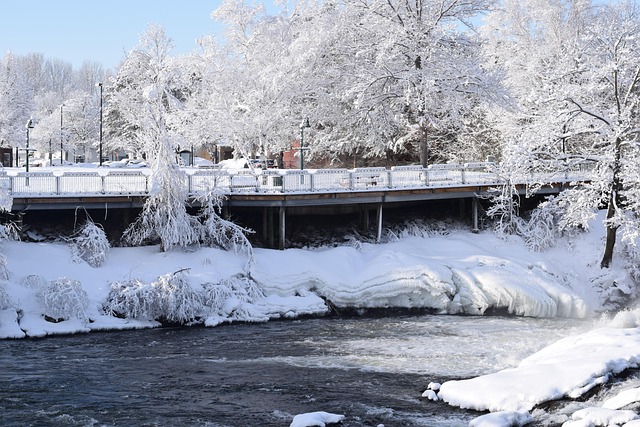 Free Winter Cold photo and picture