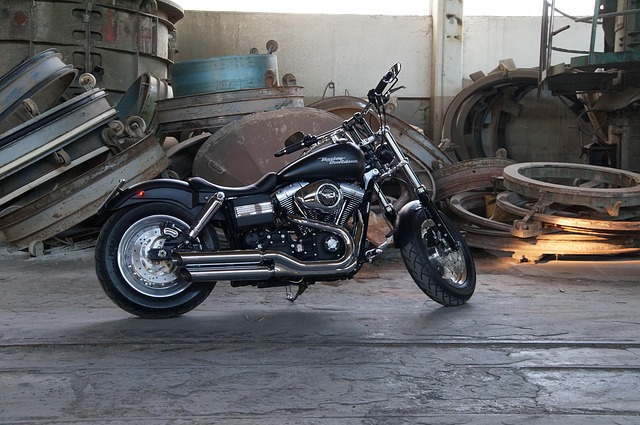 Free Wheel Transportation System photo and picture