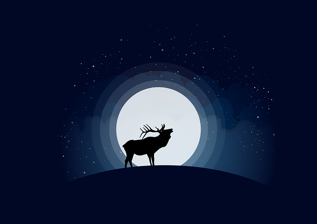 Free stag night moon illustration