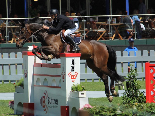 Konkurrence, Hest, Ridning, Hoppe