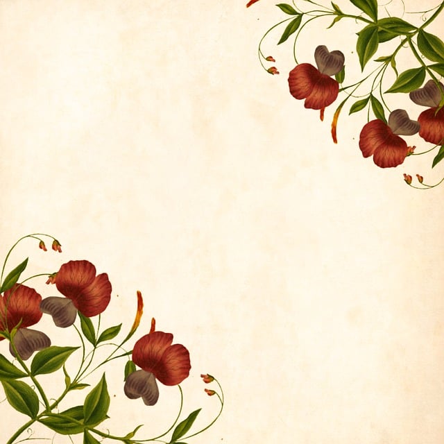 explore-25-247-free-instagram-flower-illustrations-download-now-pixabay