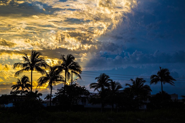 Free Palm Beach photo and picture