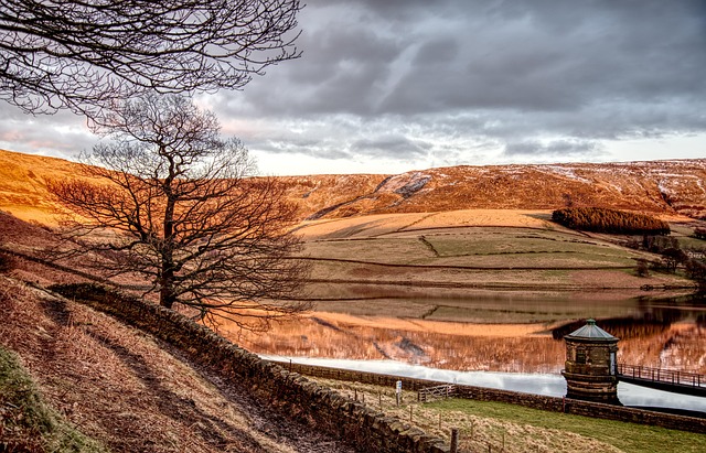 Free Nature Landscape photo and picture