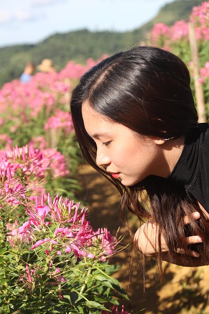 Free Nature Flower photo and picture