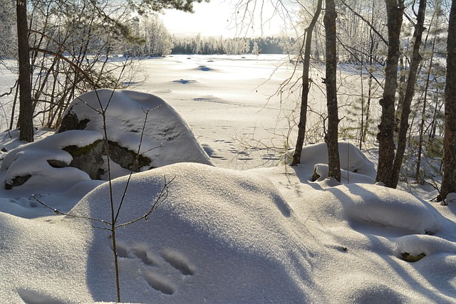 Vinter, Sne, Kold, Frost, Is, Snedækket