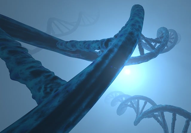 Free deoxyribonucleic acid double helix dns illustration