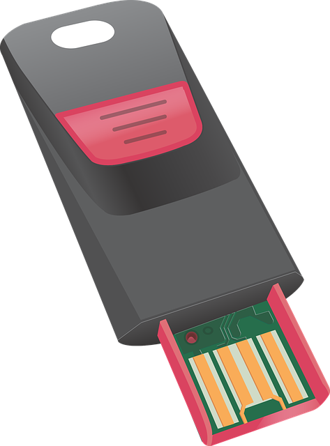 Free usb flash memory drive vector