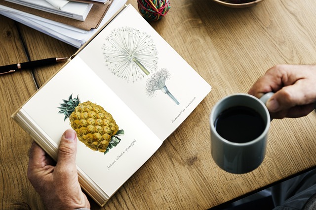 Free Coffee Table photo and picture
