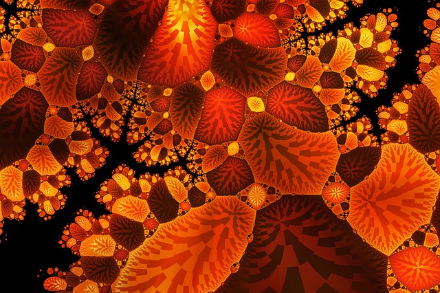Download free HD stock image of Leaf Fall Free leaf fall nature illustration