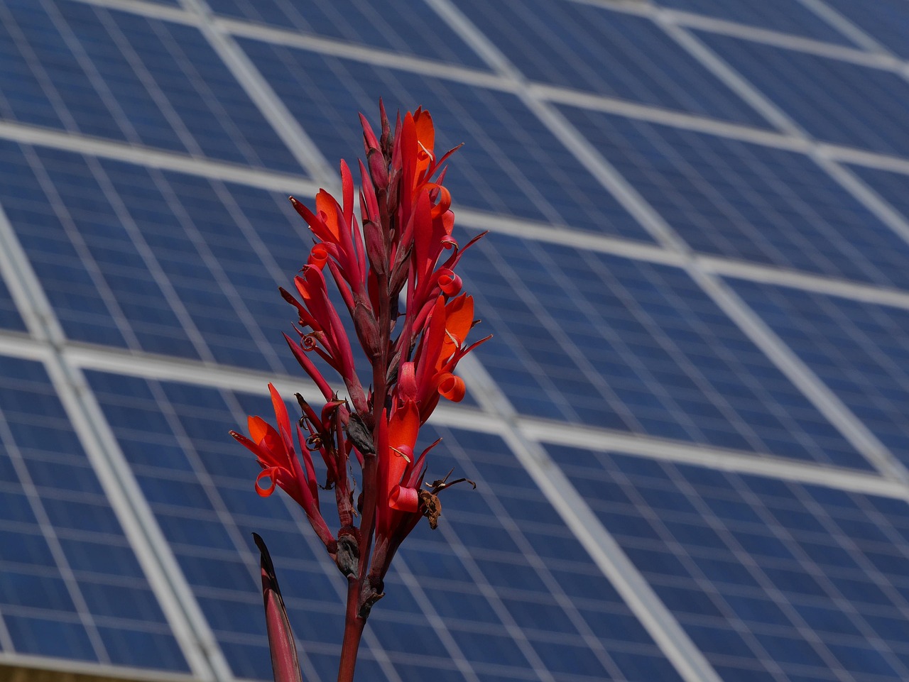 Solar Instead Energy The Future of Integrated Land Use