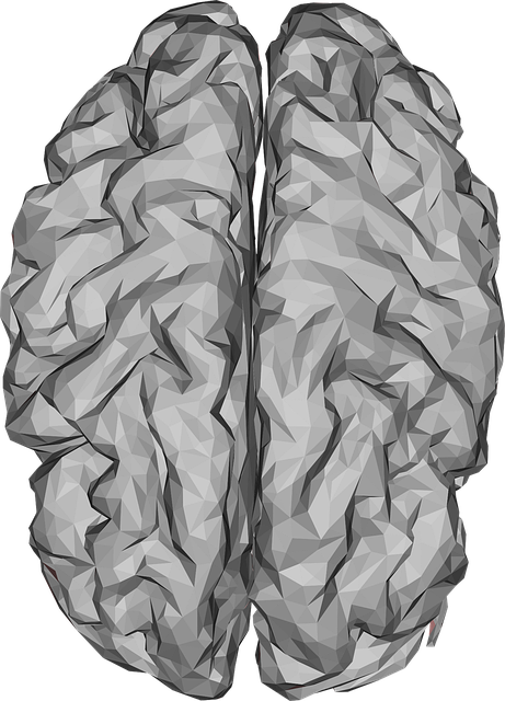 Free brain low poly polygons vector