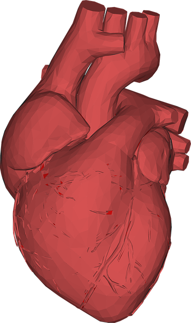 Free heart low poly polygons vector