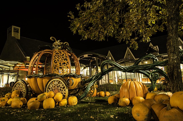 Græskar, Falde, Halloween, Lanterne