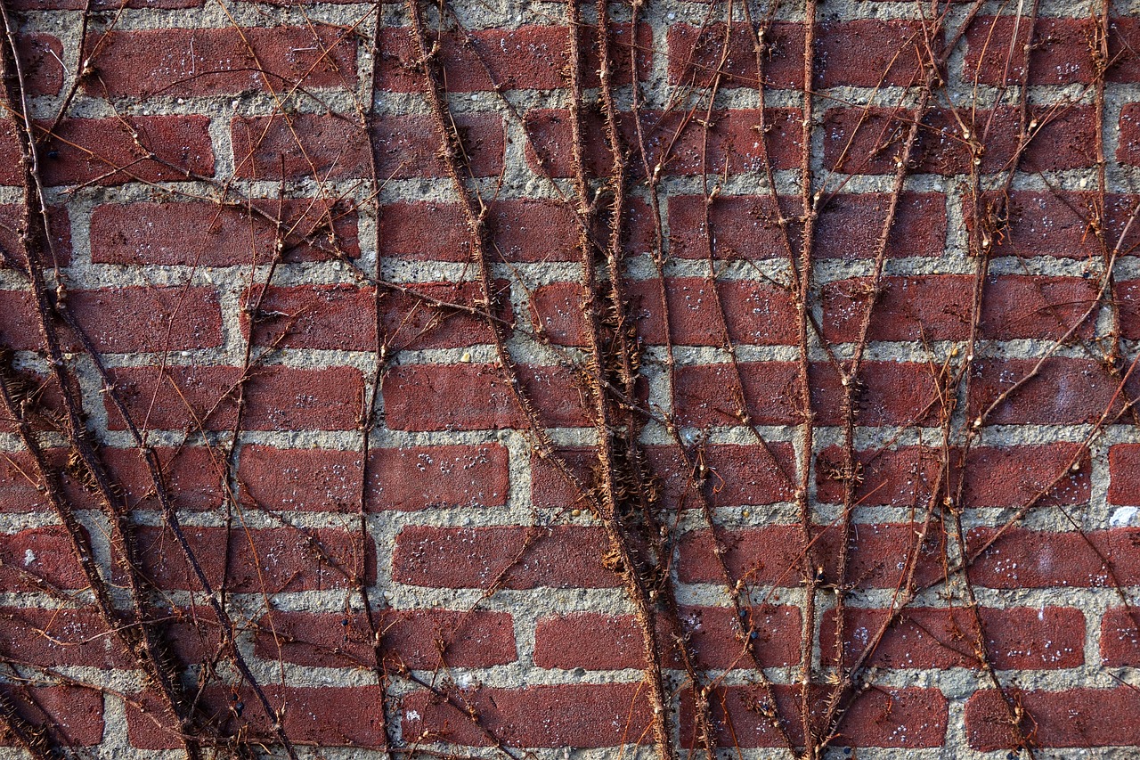 Brick Wall - free online jigsaw puzzle photo