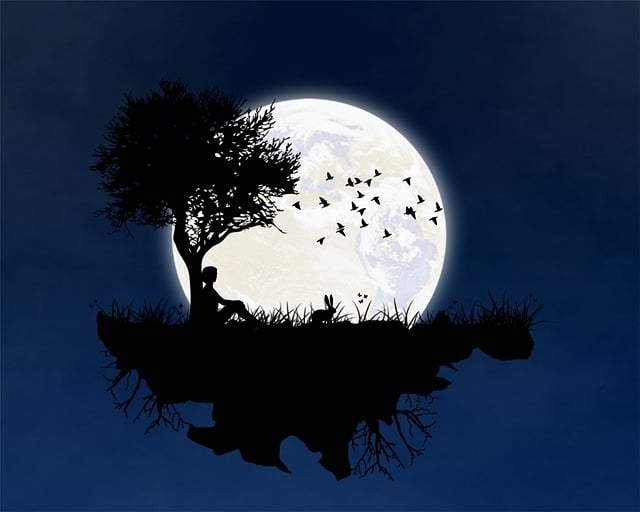 Moon, Island, Træ, Fugle, Kanin