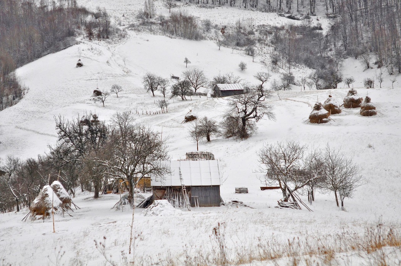 雪 冬天 寒冷的 - Pixabay上的免费照片 - Pixabay