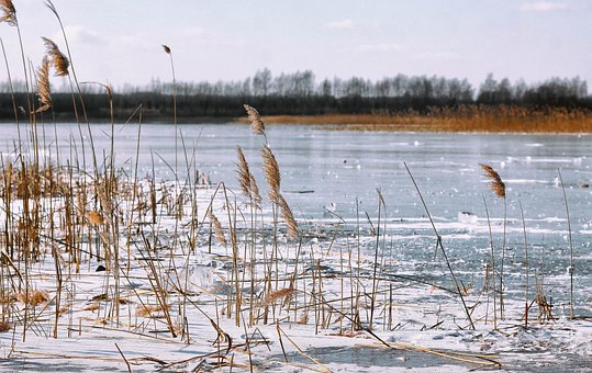 SCR167NF, морозильная камера Индезит, Индезит SCR 167 NF.