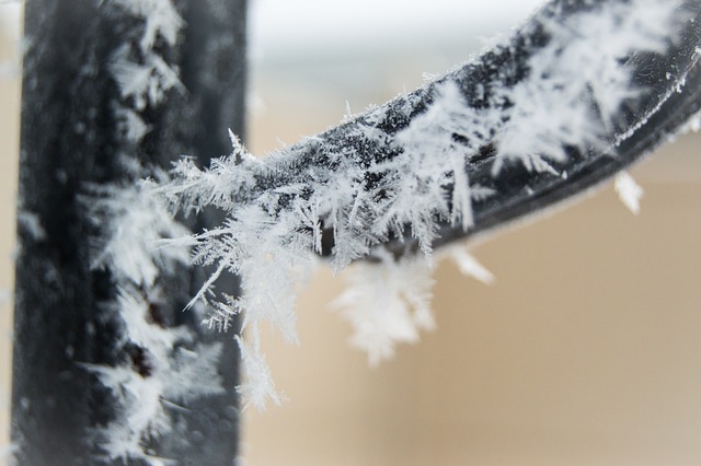 Natur, Frost, Winter, Kalt, Schnee