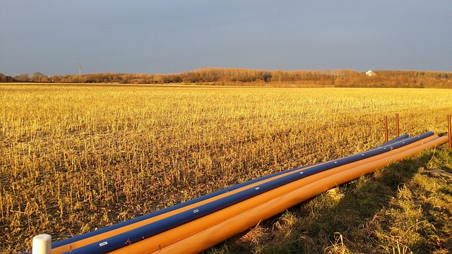 Free Agriculture Field photo and picture