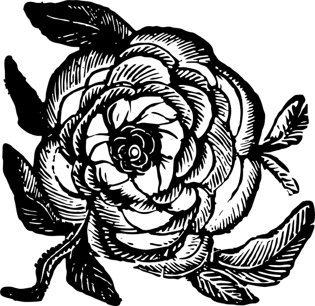 Free rose flower wallpaper beautiful flowers vector