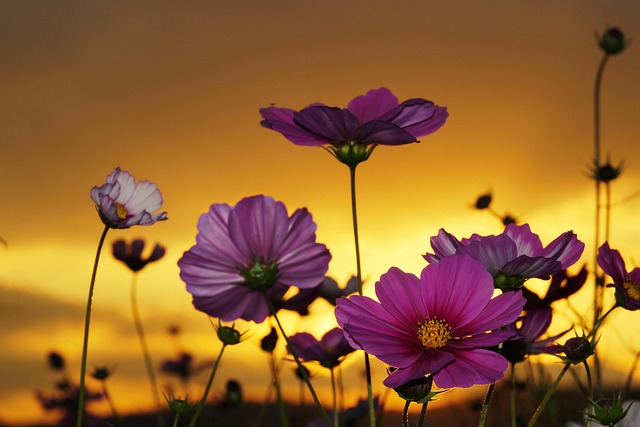 Free Nature Outdoors photo and picture