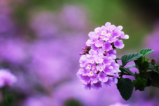 5년된 빚 파산 신청 기각 사례4