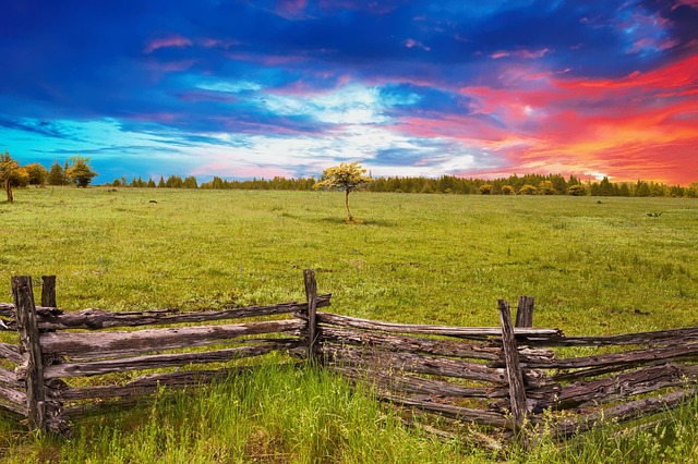 Free Fence Grass photo and picture