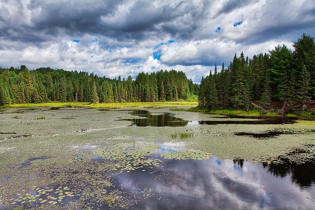 Free Water Nature photo and picture
