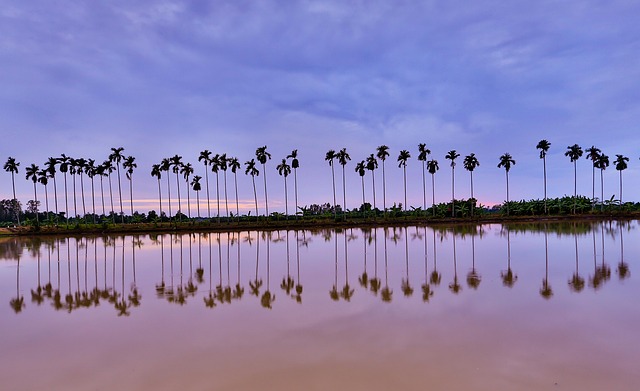Free Water Lake photo and picture
