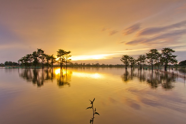 Free Sunset Water photo and picture