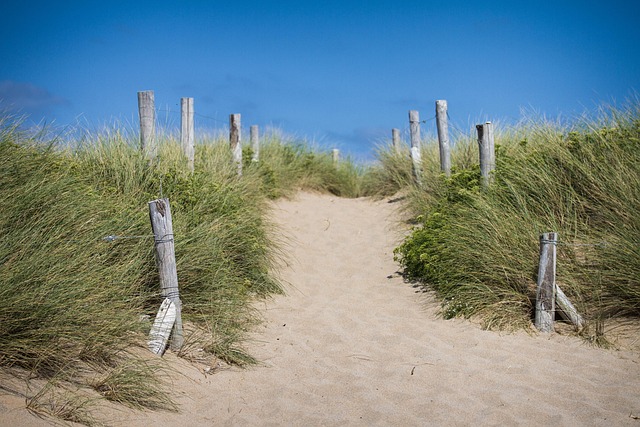 Free Sand Nature photo and picture