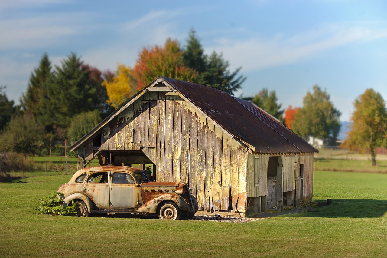 Grass - free online jigsaw puzzle photo