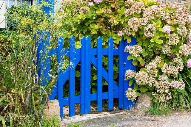 Free Flower Plant photo and picture