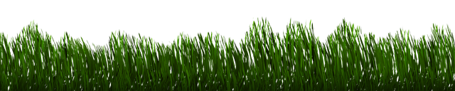 Iarbă, Natura, Organic, Verde, Primăvară