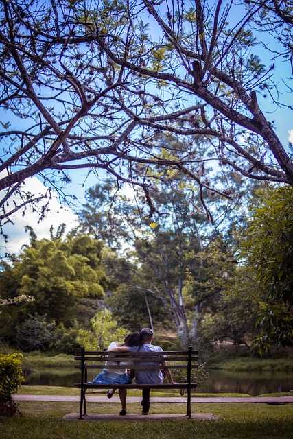 Árvore, Natureza, Madeira, Paisagem