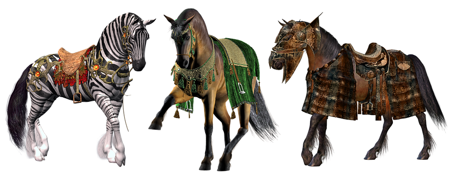 Horse Horses Pony Ponies Equestrian Horse Horses Pony Ponies Equestrian