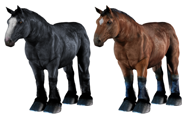 Free horse horses nature illustration