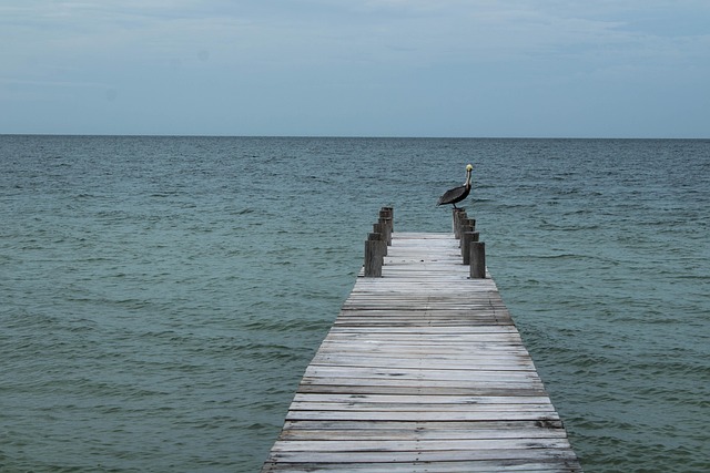 Free Body Of Water Sea photo and picture