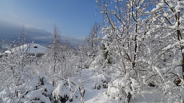 Sne, Vinter, Kold, Frost, Is