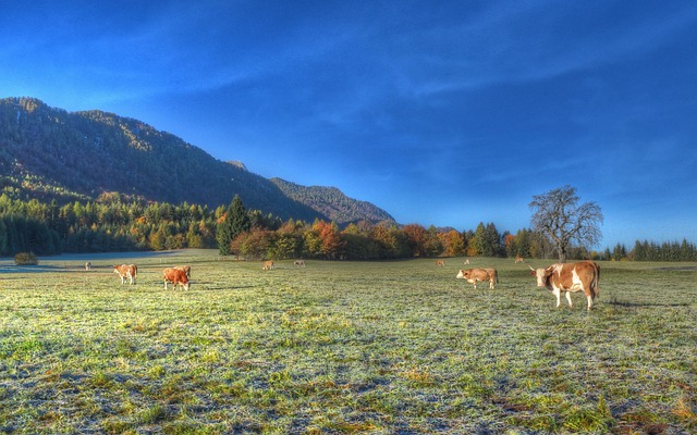 Free Nature Landscape photo and picture