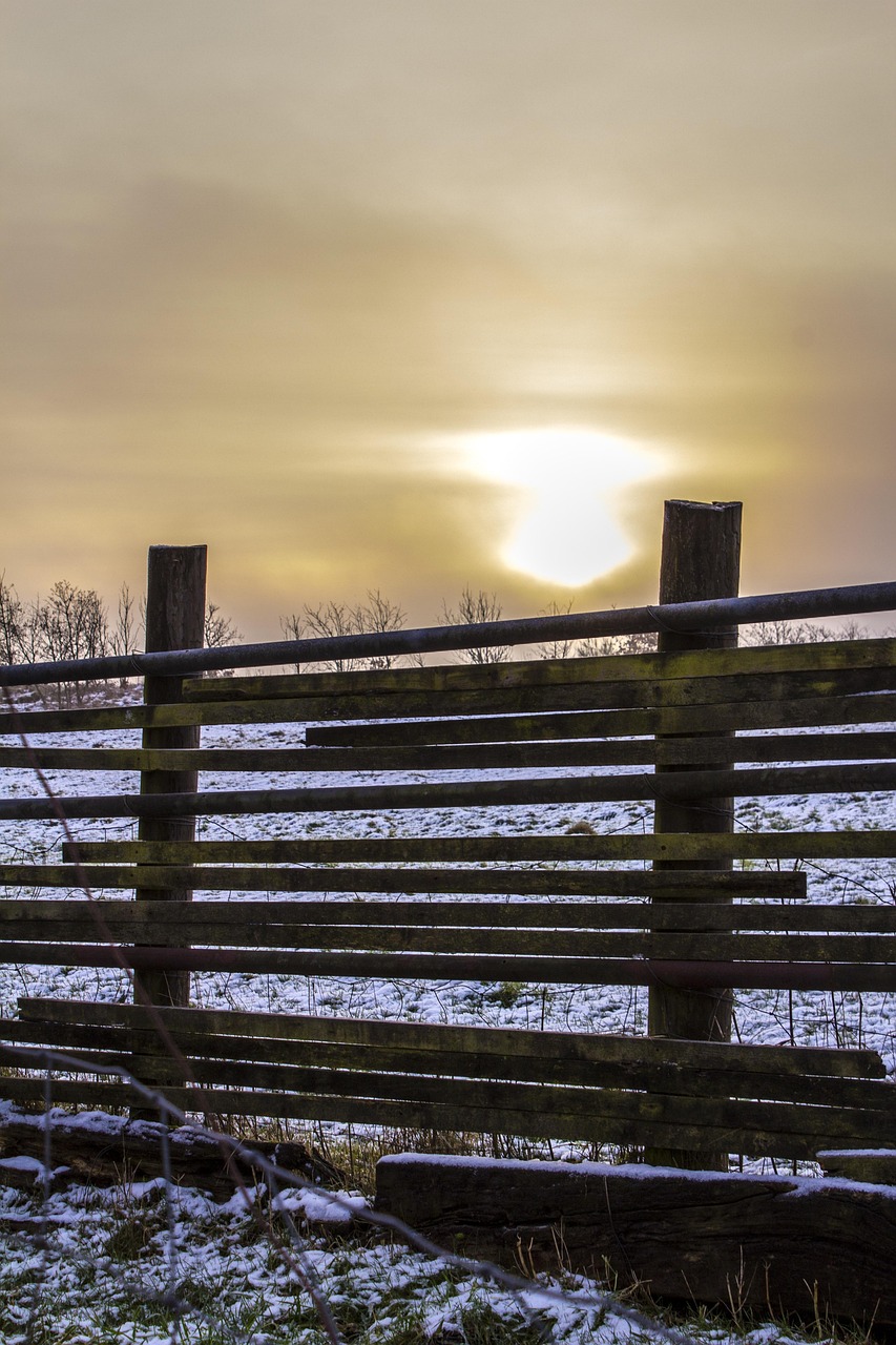 Exterior Atardecer Naturaleza Foto gratis en