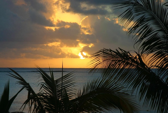 Free Beach Sunset photo and picture