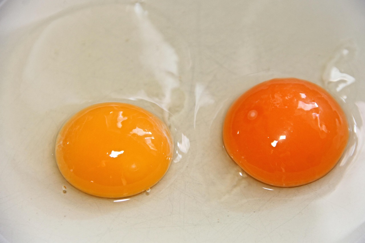 10 000 Free Egg Yolk Egg Images Pixabay 10 000 Free Egg Yolk Egg Images Pixabay