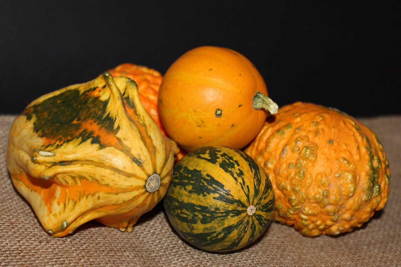 Pumpkin - free online jigsaw puzzle photo