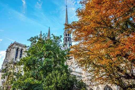 Paris, Notre Dame, Cathedral, Autumn